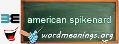 WordMeaning blackboard for american spikenard